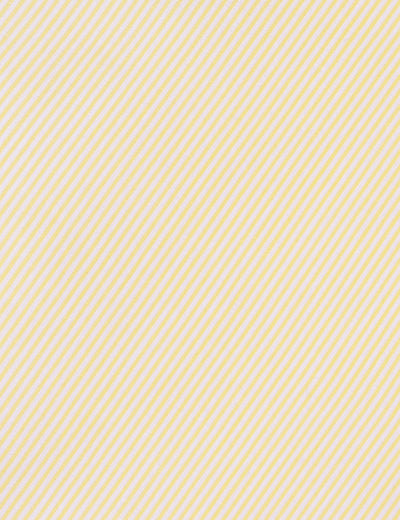 Camisa Caballero Custom fit 40-5309