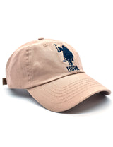 Gorra para Caballero USRCAP-47-230